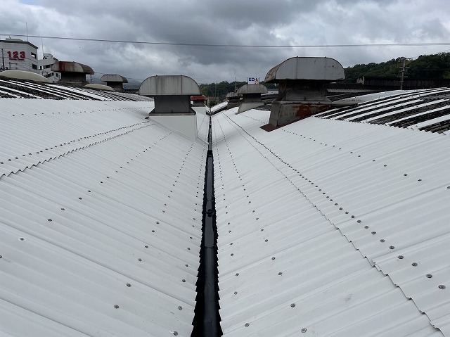 生駒市工場雨漏り　谷樋掃除の為に　スレート屋根をガルバリウム鋼板で重ね葺き施工